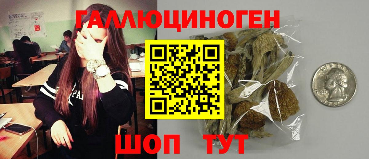 Галлюциногенные грибы Magic Shrooms  Вход с VPN  где можно купить наркотик  Нальчик 